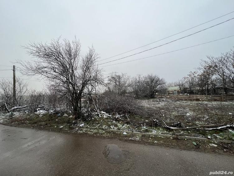 Teren de 1600 mp, în Sălcioara