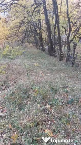 Teren de 1600 mp, în Podu Cheii