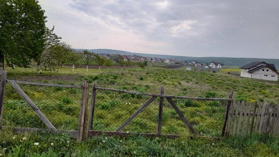 Teren de 5900 mp, în Mitocu Dragomirnei