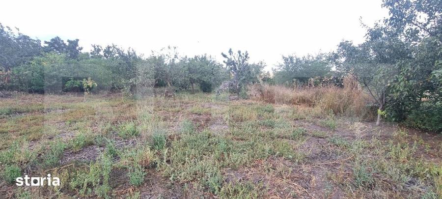 Casă cu 1 camere cu Teren 1525 Mp în Tritenii de Jos
