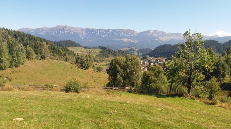 Teren agricol extravilan de 17537 mp, în Fundata