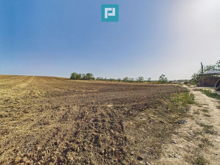 Teren Construcții intravilan de 6800 mp, în Remetea Mică
