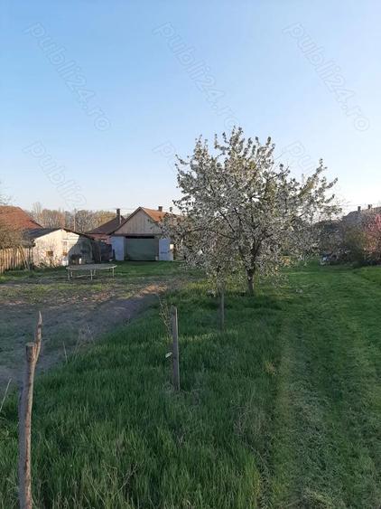 Casă cu 2 camere cu Teren 2000 Mp în Central