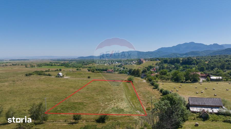 Teren Bran -Sohodol, Strada La mesteceni, 6900mp
