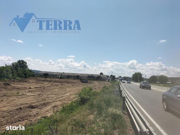 Teren intravilan 7.500 mp | DN73 | 4 km de Dacia Mioveni - 2