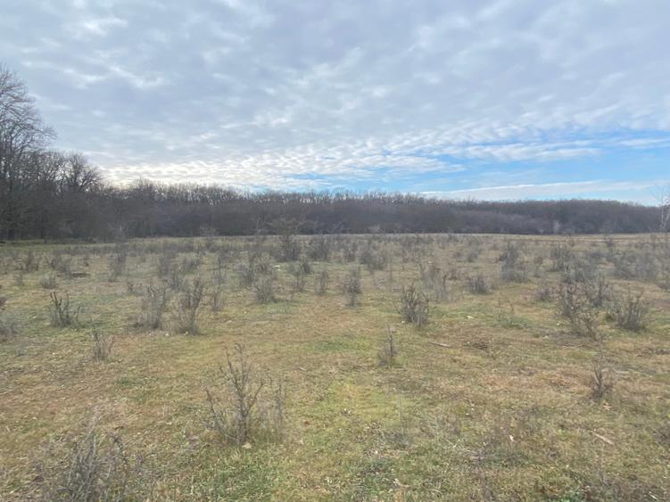 Teren agricol intravilan de 1900 mp, în Est