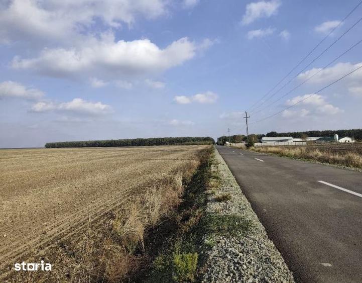Teren de 2975 mp, în Vârvor