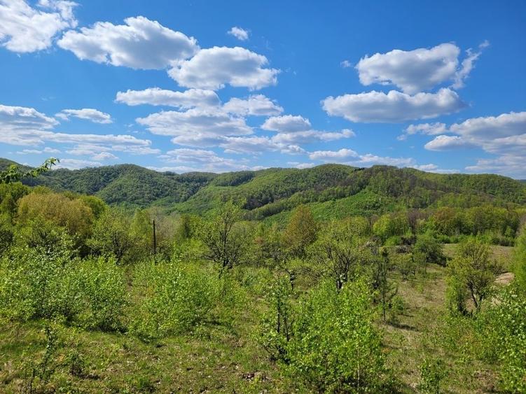 Teren de 70000 mp, în Șerani
