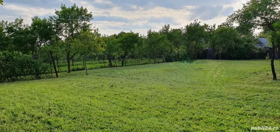Casă cu 4 camere cu Teren 1600 Mp în Orțișoara