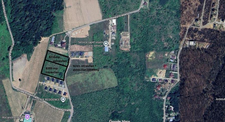 Teren Construcții intravilan de 6383 mp, în Vișan