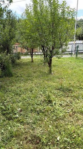Casă individuală cu 3 camere cu Canalizare în Gura Beliei
