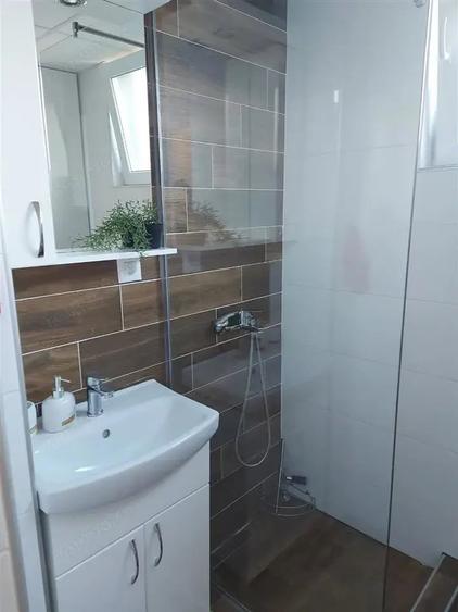 apartament o camera de inchiriat in zona Badea Cartan - 3