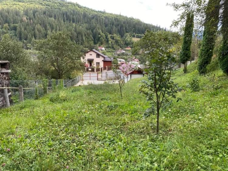 Teren de 1238 mp, în Dodeni