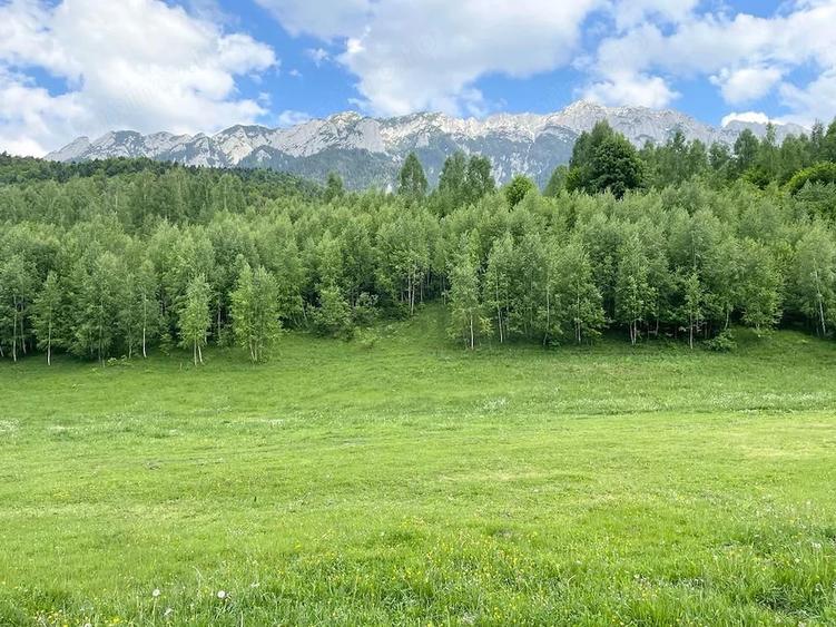 Teren de 12150 mp, în Plaiul Foii