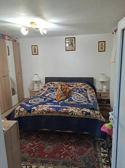 Casă cu Teren 3000 Mp în Osmancea
