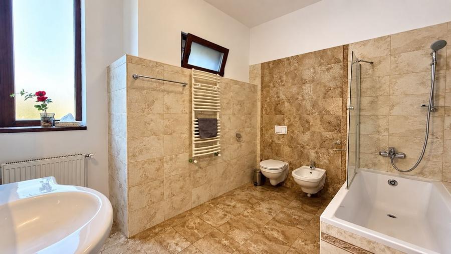 Apartament cu 3 camere decomandat în Lipovei