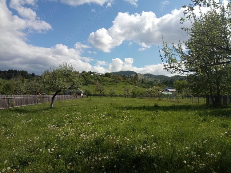Teren intravilan la munte, in Nereju, Vrancea - 1