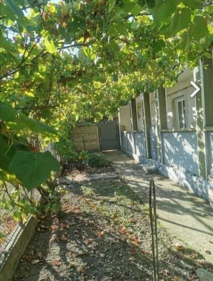 Casă cu 3 camere în Cucerdea