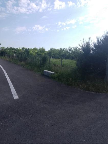 Teren de 1000 mp, în Măicănești