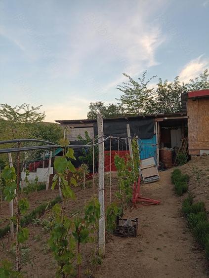 Casa de vanzare - 2