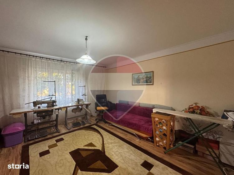 Casa cu 1439 mp teren Semlac la 37 km de Arad ( 2 cai de acces) - 6