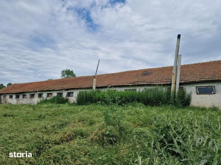Teren de 1600 mp, în Rasova