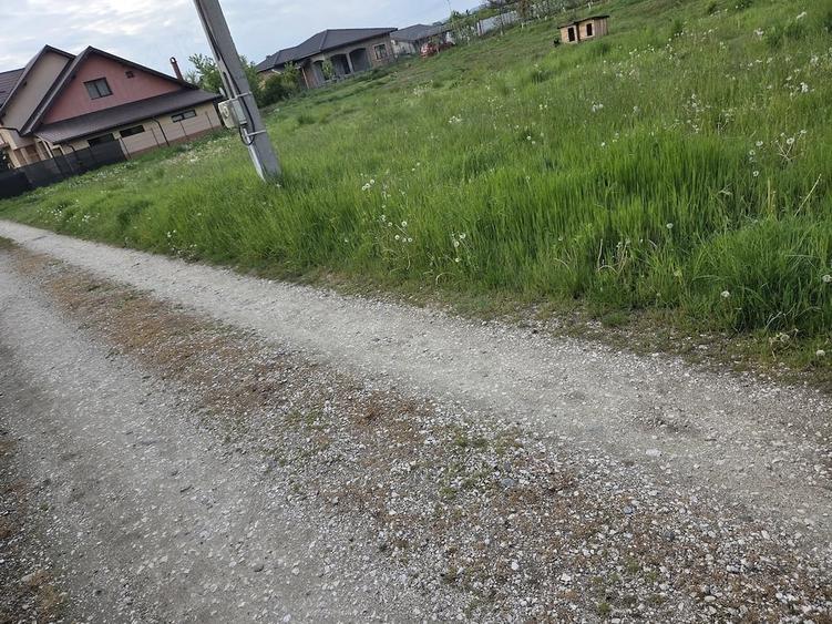 Teren de 739 mp, în Bogdănești (Bujoreni)