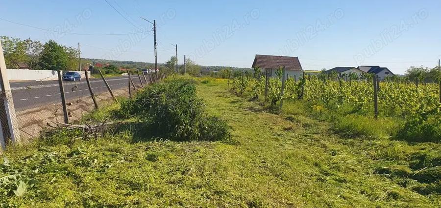 Teren de 2000 mp, în Dumbrăveni