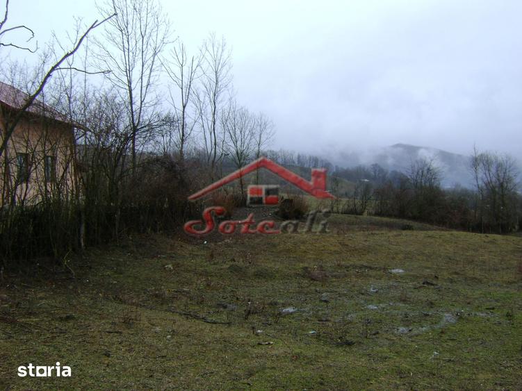 Teren de vanzare in Provita de jos - 6