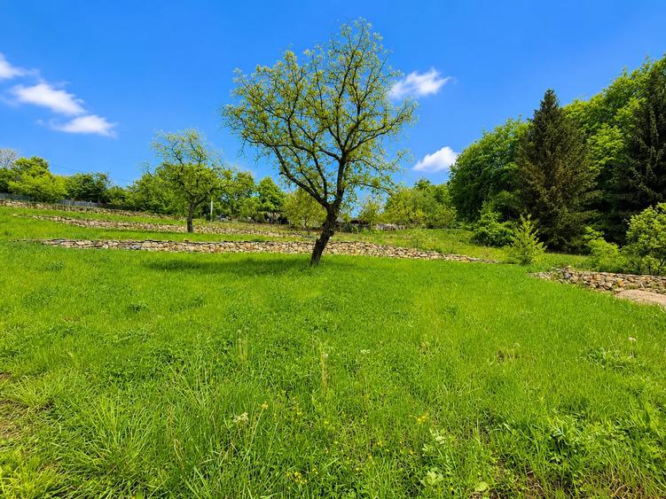 Teren Construcții intravilan de 3900 mp, în Făget