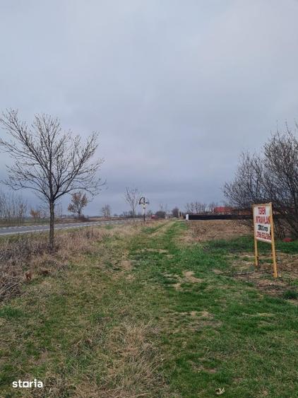 Teren de 5500 mp, în Albota