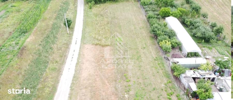 Teren de 2605 mp, în Pestișu Mic