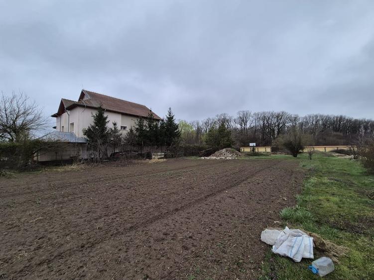Tartasesti, Gulia, str. Codrului - 9