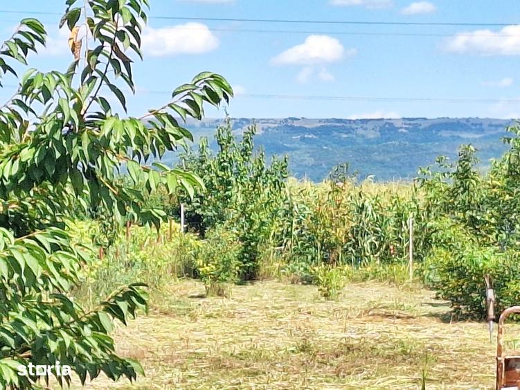 Casă cu 3 camere cu Teren 400 Mp în Letea Veche