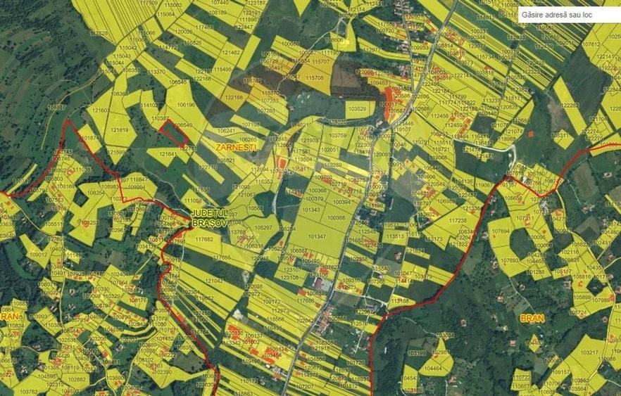 Teren Construcții intravilan de 5602 mp, în Tohanu Nou