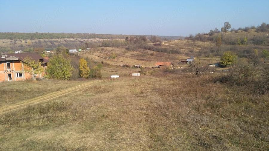 Teren de 4900 mp, în Leamna de Sus