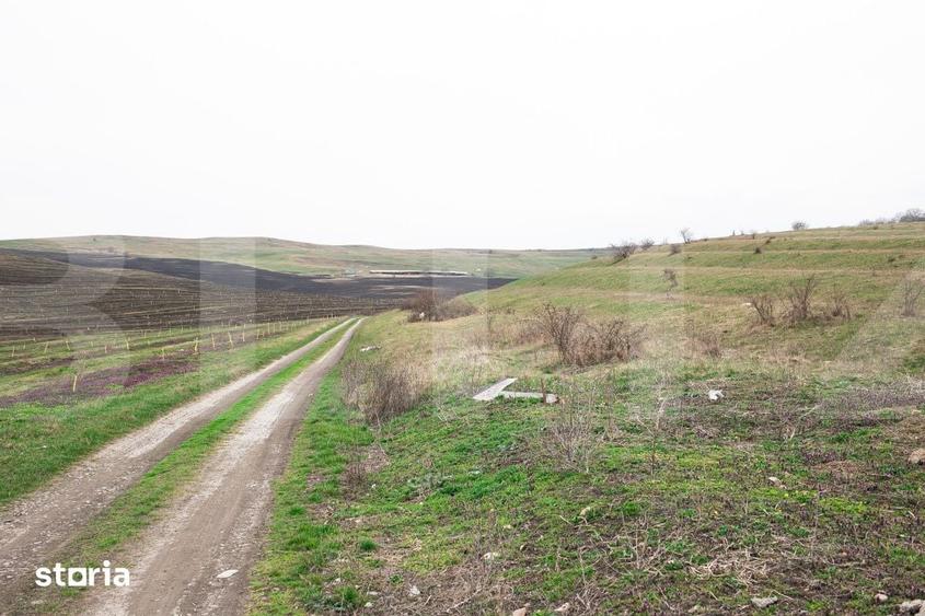 Teren de 5800 mp, în Apahida