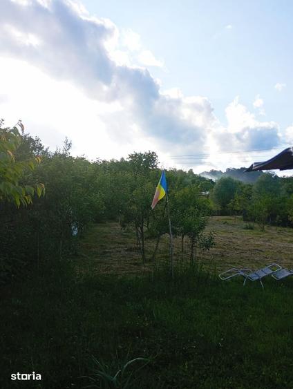 Casă cu 3 camere cu Teren 3000 Mp în Central