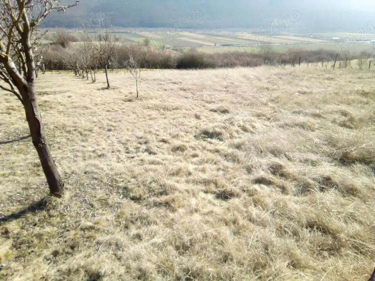 Teren de 1000 mp, în Central