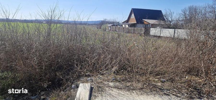 Teren de 7000 mp, în Oșorhei
