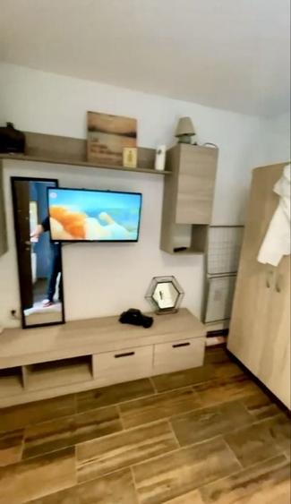 Apartament Pet Friendly Balcescu Central Elisabetin Complex Studentesc Politehnica UVT Medicina 2 Liceul Moisil Piata Maria Victoriei Judetean - 3