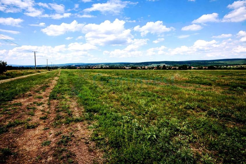 Teren agricol extravilan de 17265 mp, în Leș