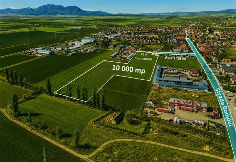 Teren agricol intravilan de 10000 mp, în Hălchiu