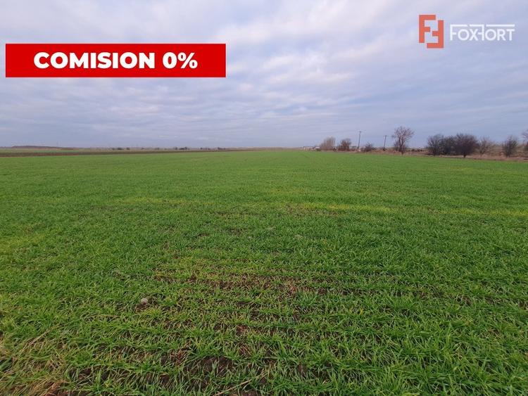 Teren agricol extravilan de 213257 mp, în Sud