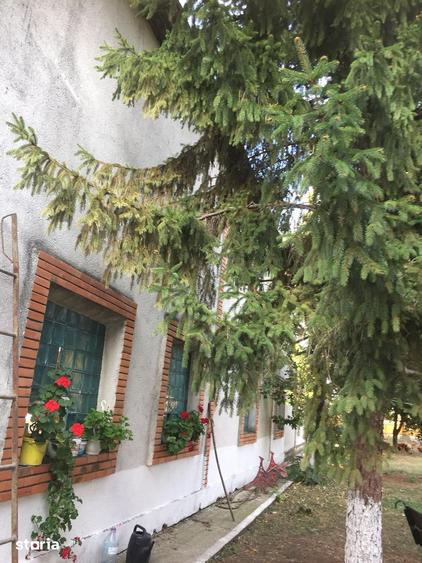 Teren de 49000 mp, în Iancu Jianu