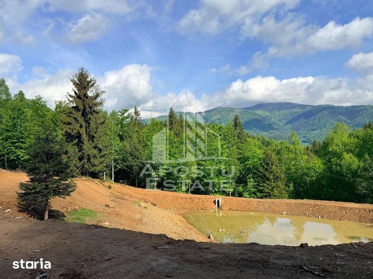 Teren de 18000 mp, în Central