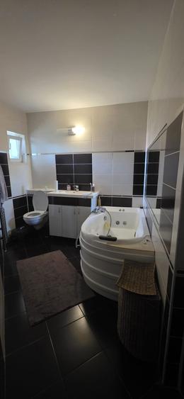 Apartament 3 camere, amenajat si mobilat, 450euro/luna, zona  Alexandru - 10