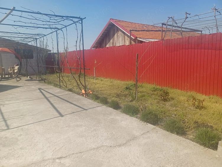 Casă cu Teren 707 Mp în Burila Mare