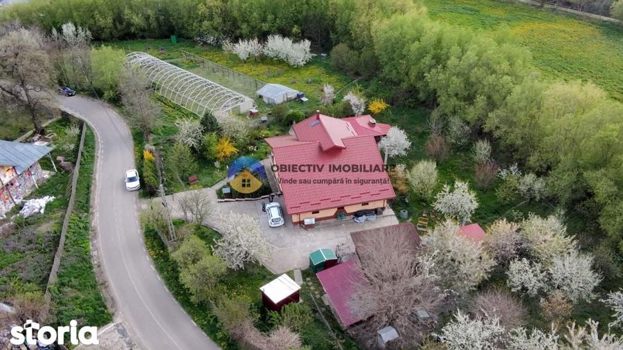 Vila cu 8.800 mp teren in Gura Vaii, la 12 km de Piatra Neamt - 17