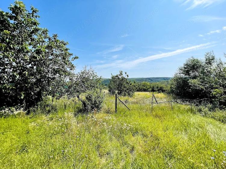 Casă cu Teren 2635 Mp în Cordău
